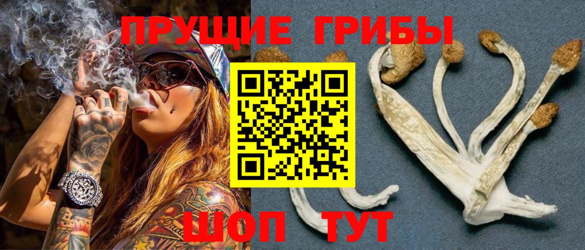 Гусев  Псилоцибиновые грибы Magic Shrooms  Вход с VPN  Псилоцибиновые грибы мухоморы 