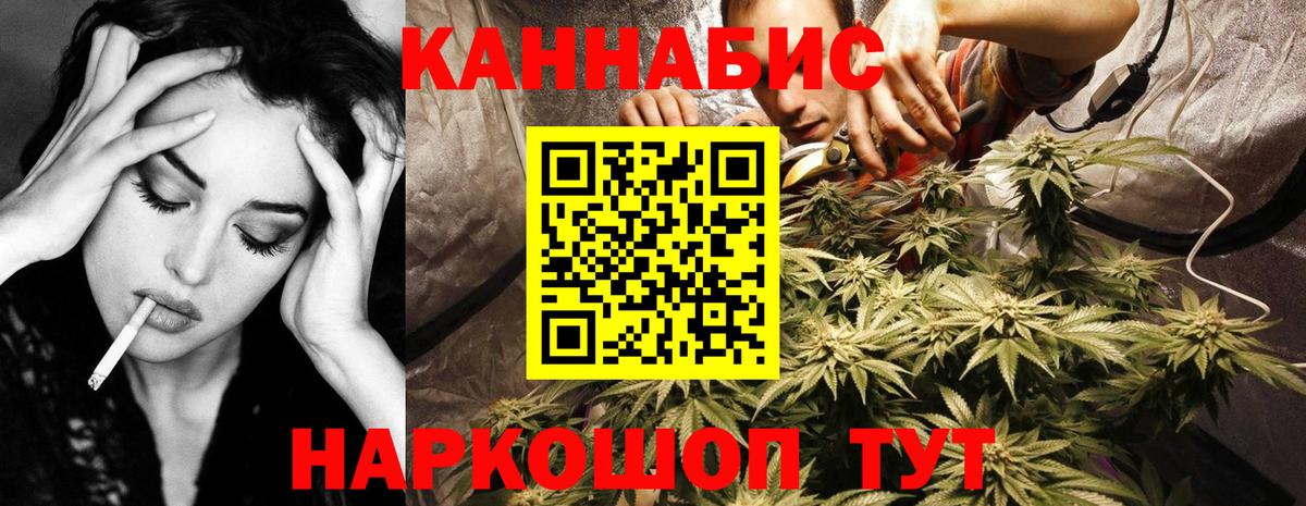 Гусев  Шишки марихуана White Widow  Бошки марихуана OG Kush  Бошки марихуана White Widow  Вход с VPN 